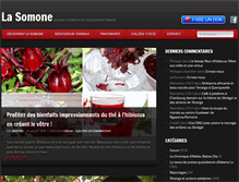 Tablet Screenshot of lasomone.com